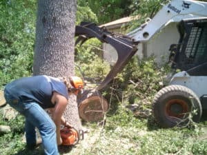 Tree Removal Ludington, MI